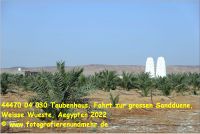 44470 04 030 Taubenhaus, Fahrt zur grossen Sandduene, Weisse Wueste, Aegypten 2022.jpg